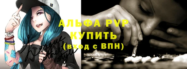 соль ск Елабуга