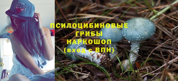 первитин Алексеевка