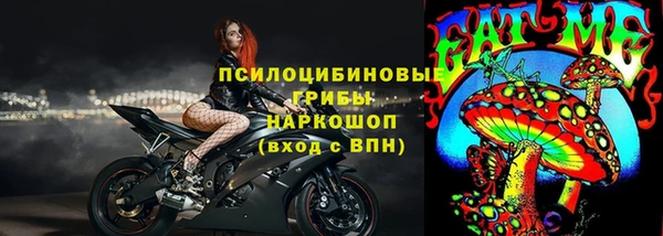 сатива Алексин