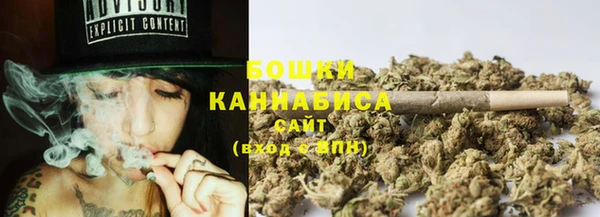спиды Горняк
