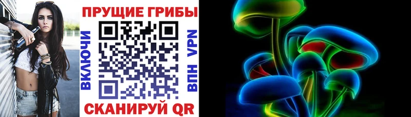 Псилоцибиновые грибы прущие грибы  Дзержинский 